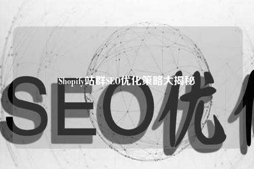 Shopify站群SEO优化策略大揭秘
