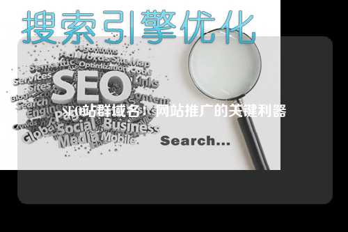 SEO站群域名：网站推广的关键利器