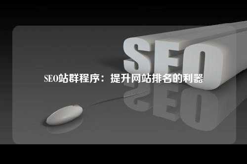 SEO站群程序：提升网站排名的利器