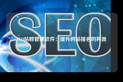 SEO站群管理软件：提升网站排名的利器